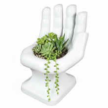 Load image into Gallery viewer, Hand Chair Replica (small size) Succulent Planter * Pre-order: ship date August 2026