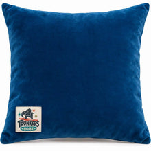 Load image into Gallery viewer, Octopus Garden Pillow Cover for 16” square accent pillow (not included) backordered until Dec. 2026