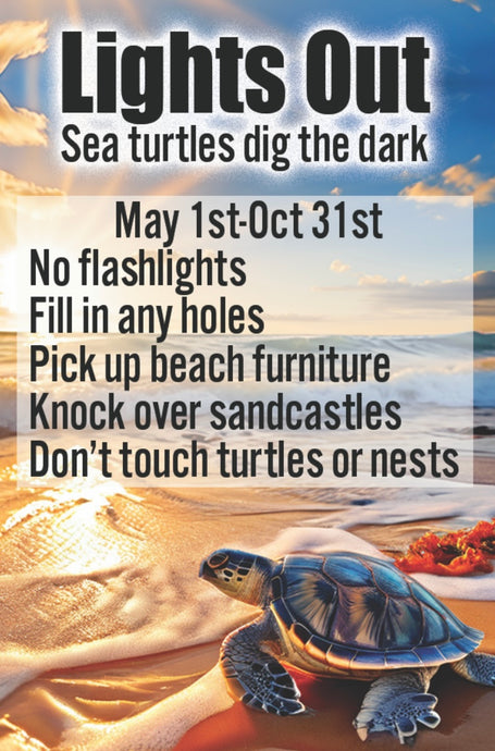 Lights Out for Sea Turtles Novelty Magnet
