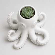 Load image into Gallery viewer, Retro Style Octopus Planter * Pre-order: ship date August 2026