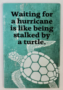 Hurricane Turtle Novelty Magnet