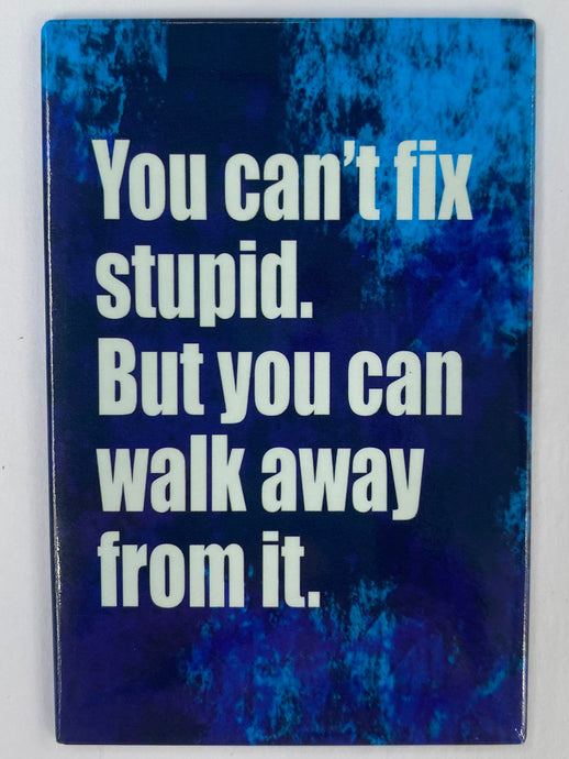 Can't Fix Stupid Novelty Magnet